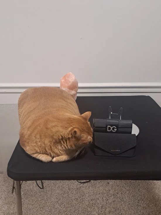 Dolce.& Gabbana Brown Gradient Sunglasses with Gold Logo & 2 Sunglass cases - Picture 10 of 13